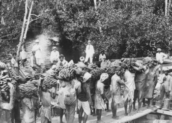 Resilient-Journey-Unearthing-Indo-Caribbean Peoples-Migration-Stories-and-Settlement-Triumphs-currybien