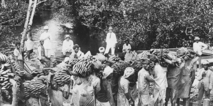 Resilient-Journey-Unearthing-Indo-Caribbean Peoples-Migration-Stories-and-Settlement-Triumphs-currybien