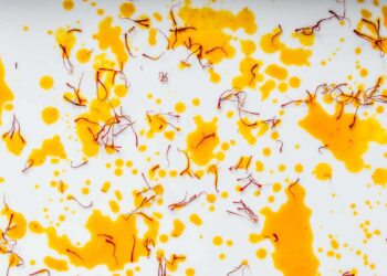 Saffron-Sunsets-Illuminate-the-Irresistible-Dance-of-Indian-and-Caribbean-Flavors-currybien