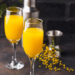 Bubbly Delights Orange Juice with Champagne Magic
