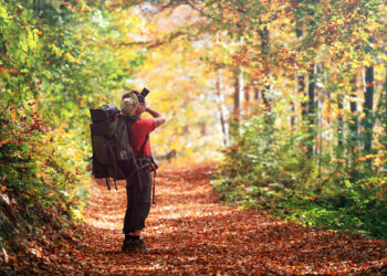 A couple enjoying an autumn seaside walk in Brighton, wrapped in scarves, holding Caribbean street food and smiling as the sunset glows in carnival colours.