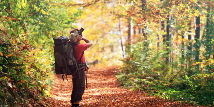 A couple enjoying an autumn seaside walk in Brighton, wrapped in scarves, holding Caribbean street food and smiling as the sunset glows in carnival colours.