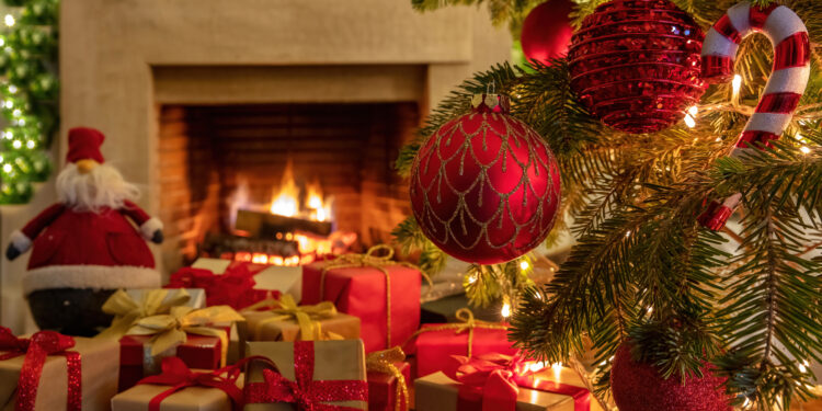 Traditional Indian Christmas feast featuring Goan sorpotel, Kerala plum cake, East Indian sweets, and festive homemade dishes served on a decorated table.