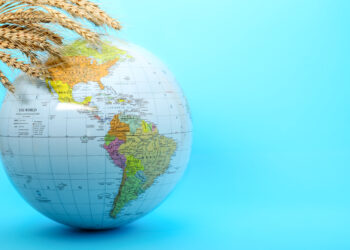 Global cuisine dishes representing migration and cultural food exchange, illustrating how migration has shaped the way the world eats today.