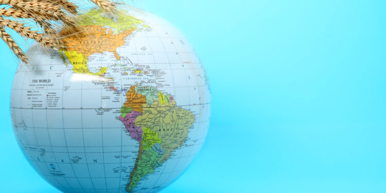 Global cuisine dishes representing migration and cultural food exchange, illustrating how migration has shaped the way the world eats today.